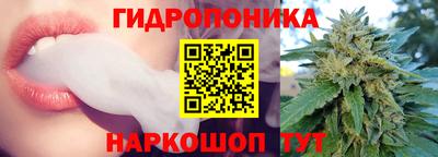 бошки Аша