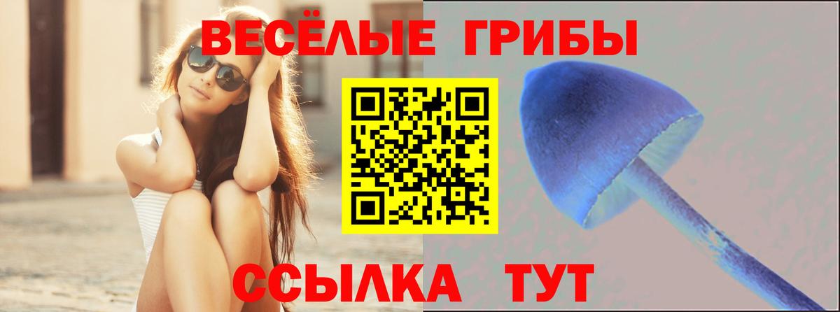 Псилоцибиновые грибы мицелий  Псилоцибиновые грибы Cubensis  Вход с VPN  Первоуральск 